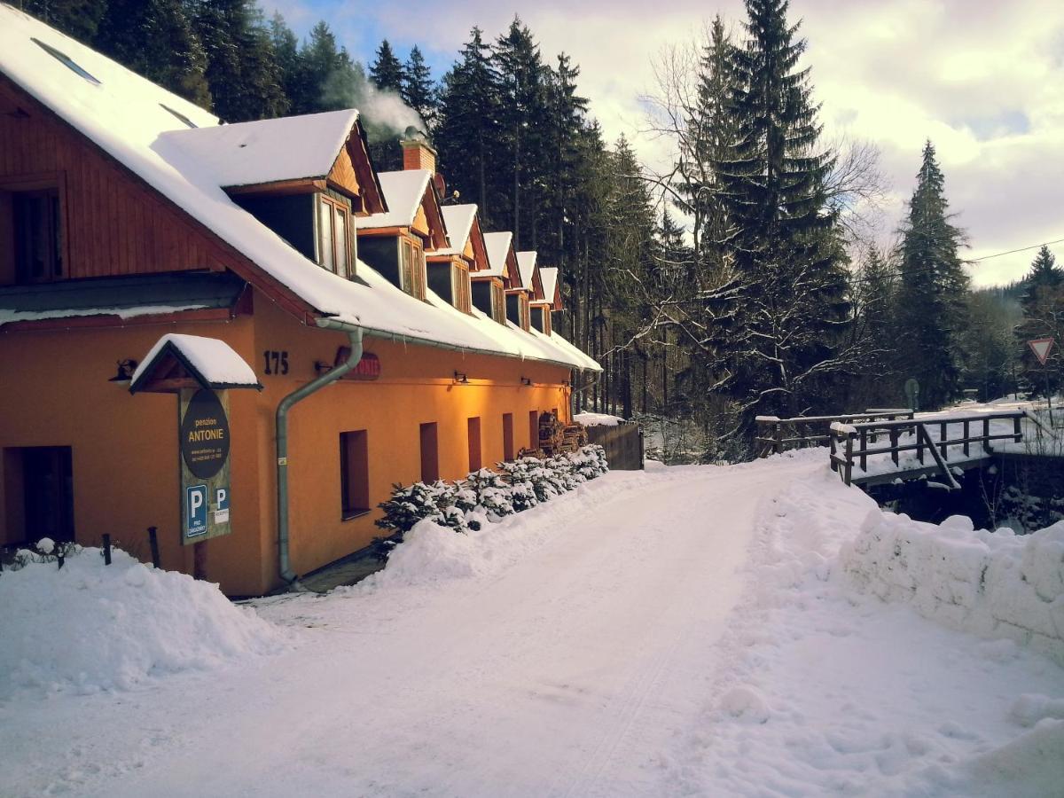 Penzion Antonie Hotel Mala Moravka Exterior photo